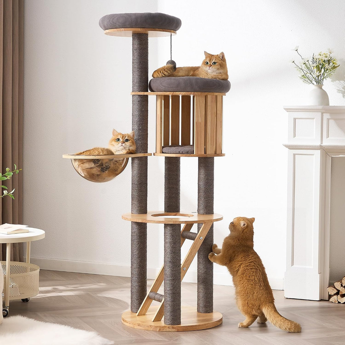 Modern Cat Tree Tower with Scratching Post, 61.5in Tall Cat Tree for Indoor Cats, Multi-Level Solid Wood Cat Furniture with Ladder, Cozy Cat Beds, Cat Condo, Capsule Nest, Dangling Toy, Natural