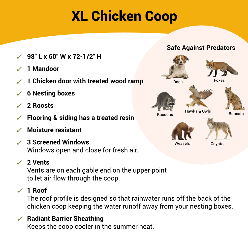 XL Chicken Coop - Up to 20 Chickens