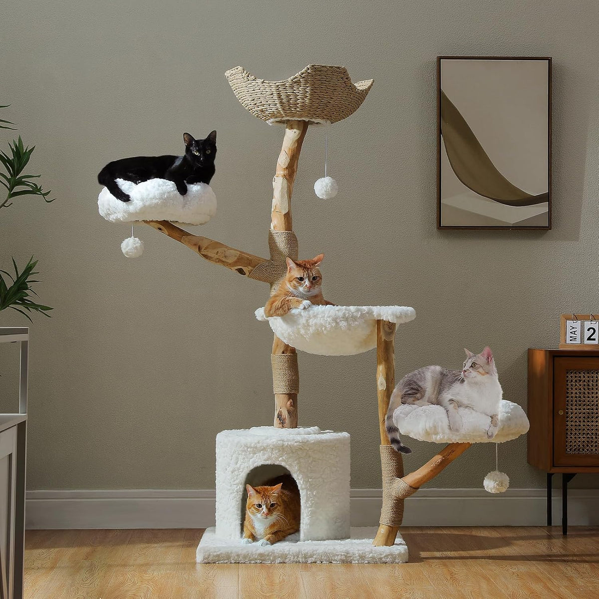 PAWZ Road 59" Modern Cat Tree, Natural Wood Cat Tower for Large Cats White