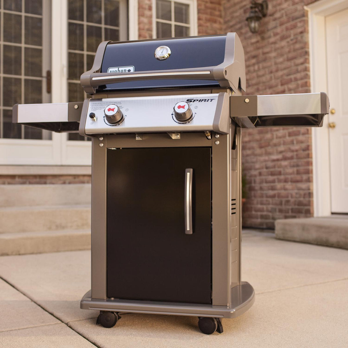 2 Burner Liquid Propane Grill Black