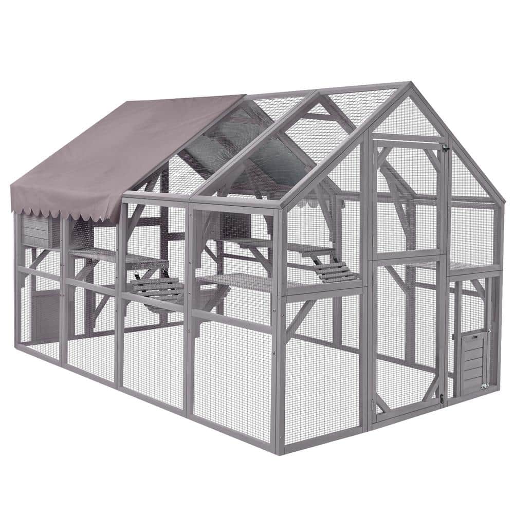 Outdoor Cat Run: Large Cat Enclosure