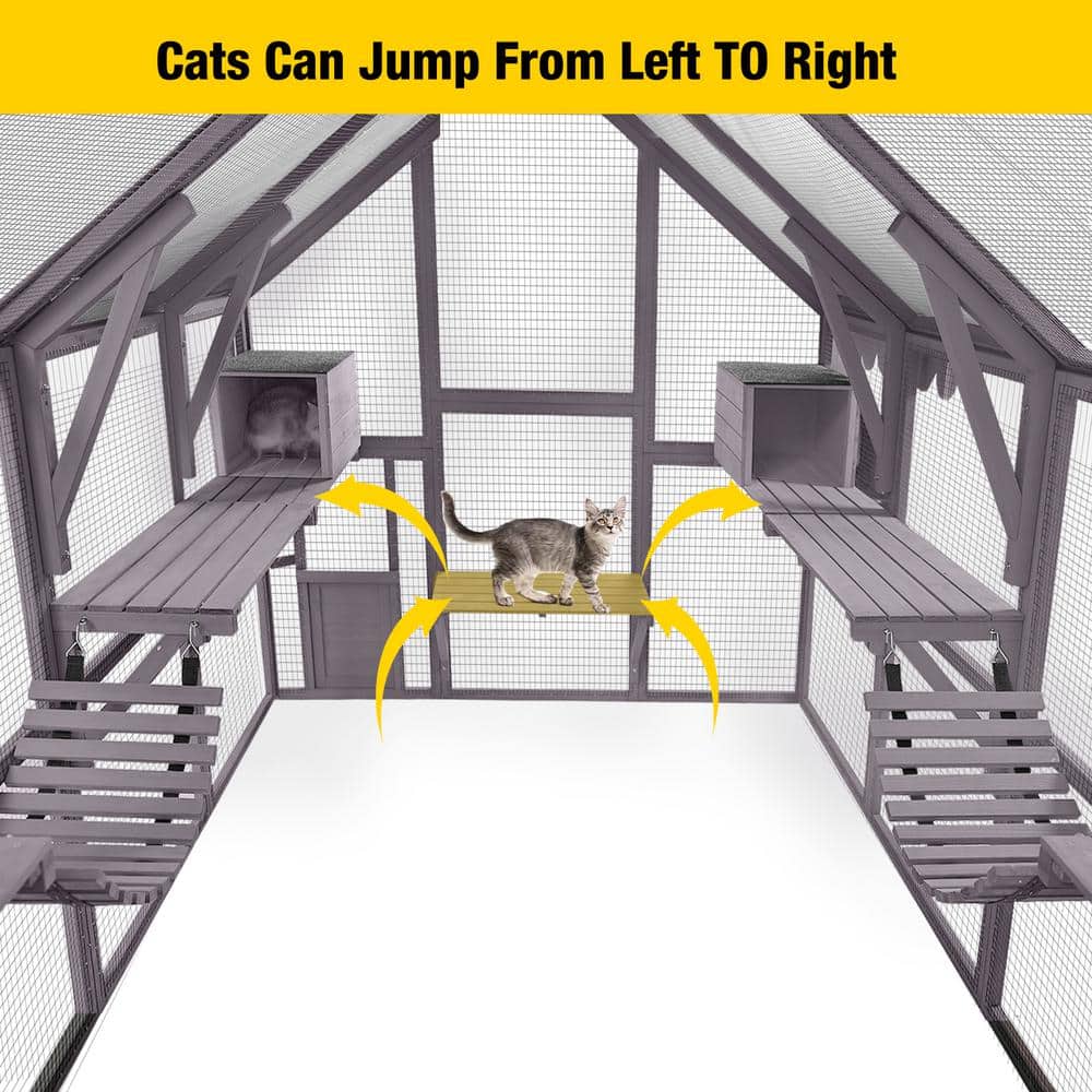 Outdoor Cat Run: Large Cat Enclosure