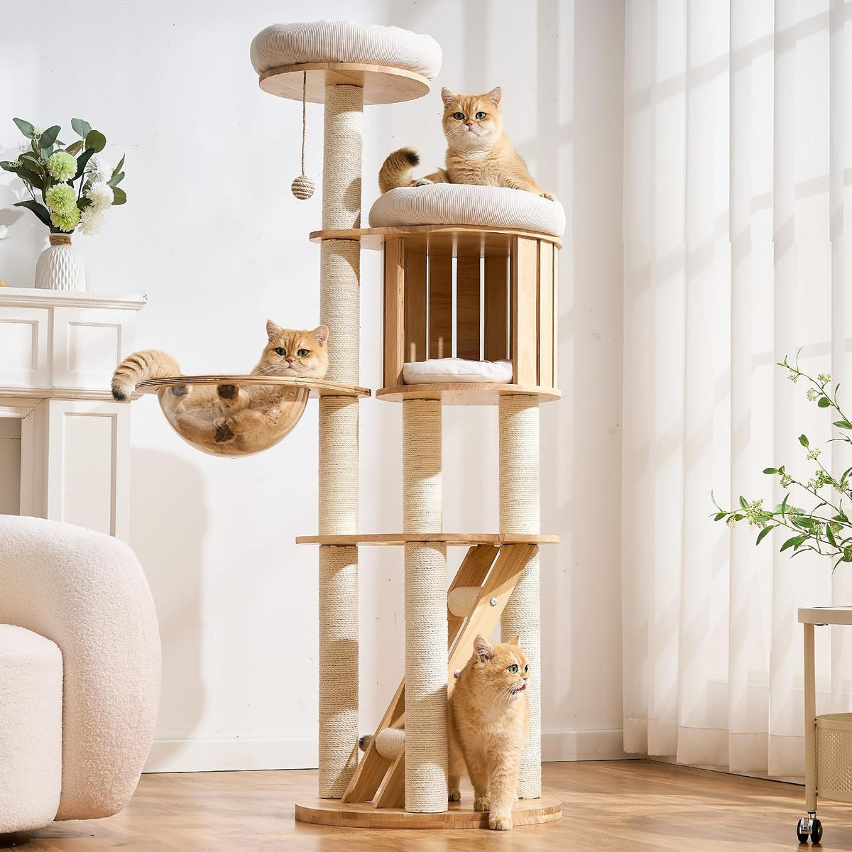 Modern Cat Tree Tower with Scratching Post, 61.5in Tall Cat Tree for Indoor Cats, Multi-Level Solid Wood Cat Furniture with Ladder, Cozy Cat Beds, Cat Condo, Capsule Nest, Dangling Toy, Natural
