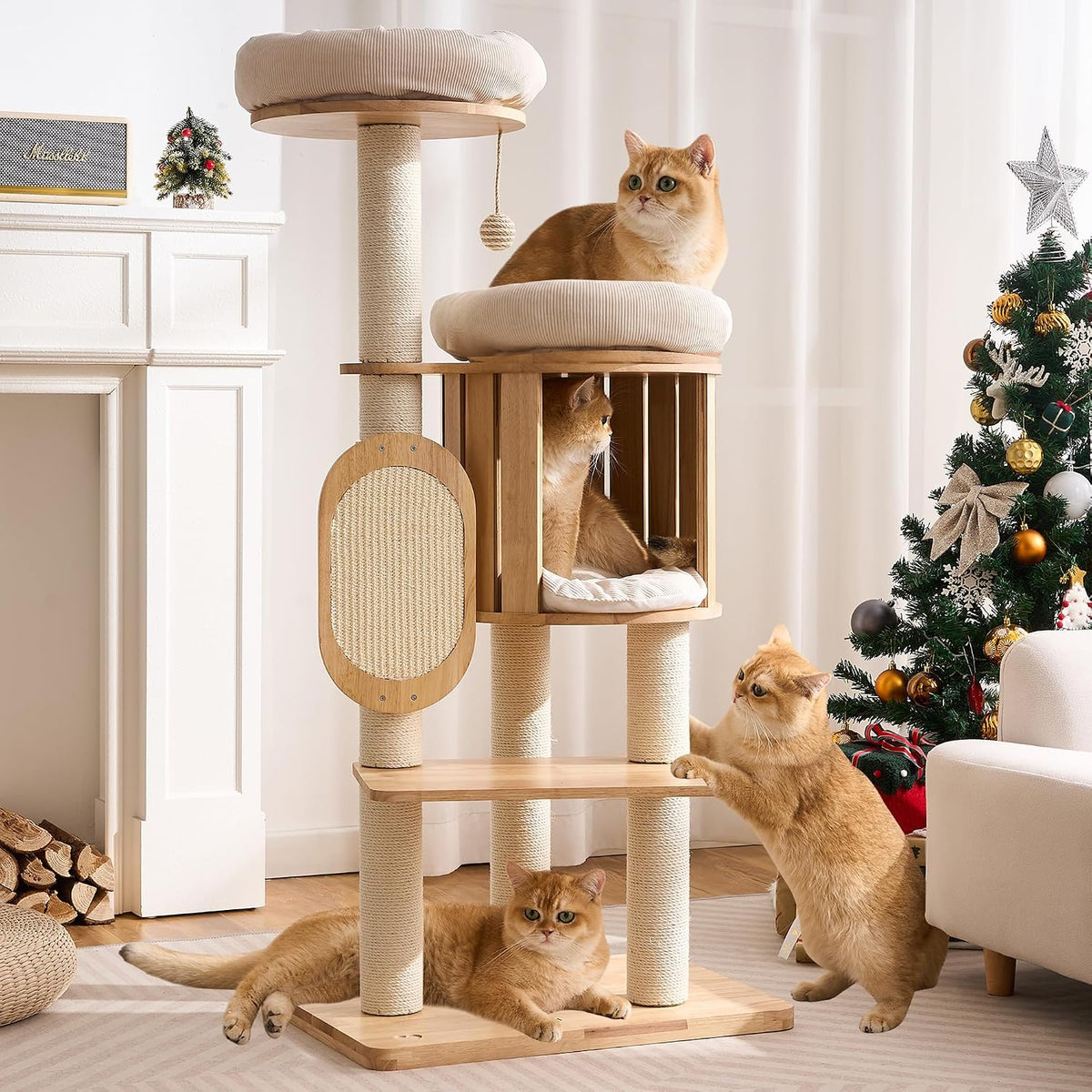 Modern Cat Tree Tower with Scratching Post, 61.5in Tall Cat Tree for Indoor Cats, Multi-Level Solid Wood Cat Furniture with Ladder, Cozy Cat Beds, Cat Condo, Capsule Nest, Dangling Toy, Natural
