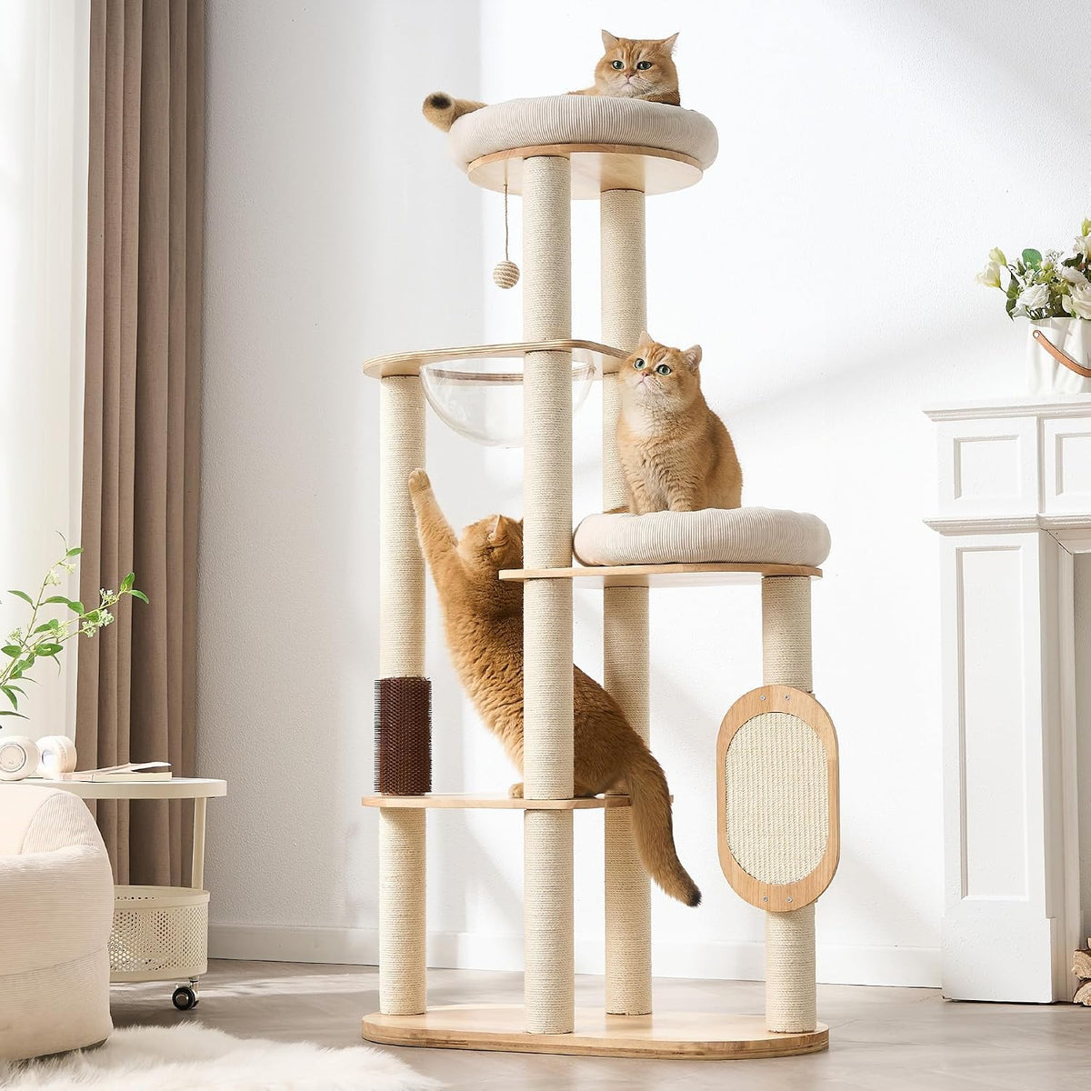 Modern Cat Tree Tower with Scratching Post, 61.5in Tall Cat Tree for Indoor Cats, Multi-Level Solid Wood Cat Furniture with Ladder, Cozy Cat Beds, Cat Condo, Capsule Nest, Dangling Toy, Natural