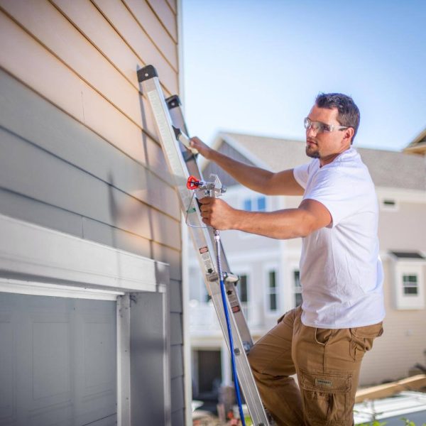 262805 Stand Airless Paint Sprayer